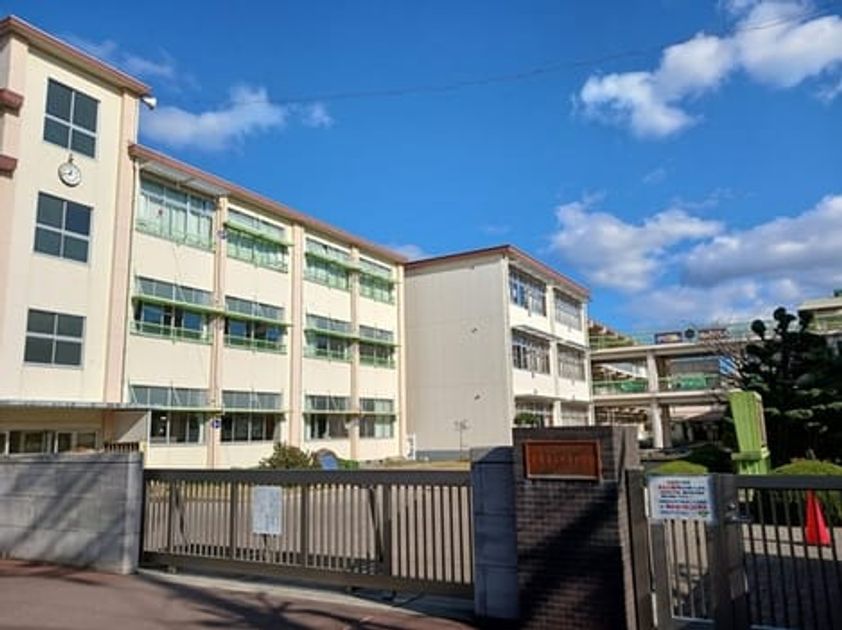 Naikan17 20261029000000 945x630