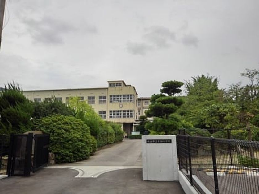 Naikan17 20240423000000 945x630