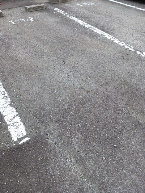 Naikan11 20250904000000