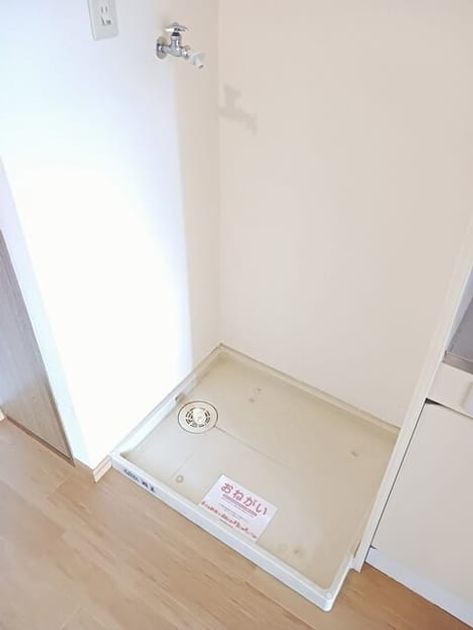 Naikan11 20250826000000 945x630