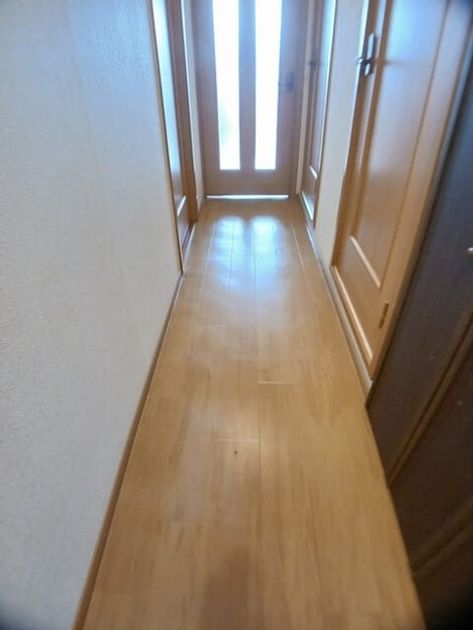 Naikan7 20251021000000 945x630