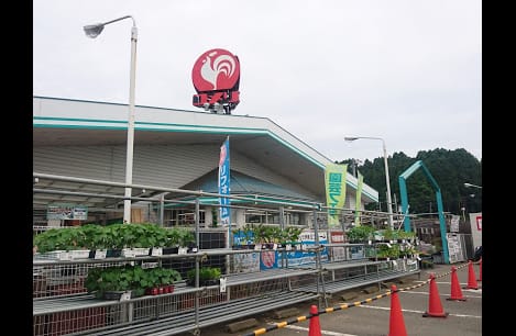Naikan14 20220318000000