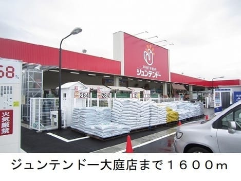 Naikan17 20250206000000