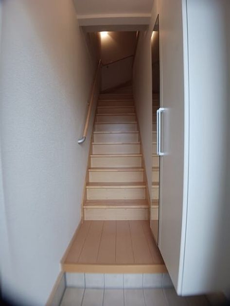 Naikan8 20260213000000 945x630