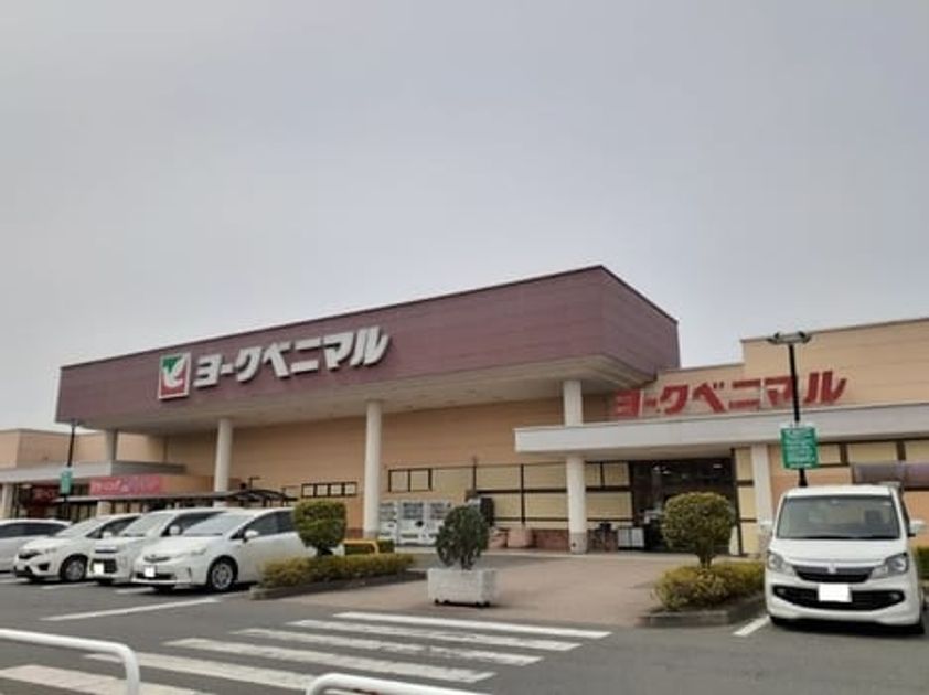 Naikan16 20251106000000 945x630