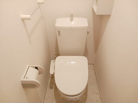Naikan5 20260217000000