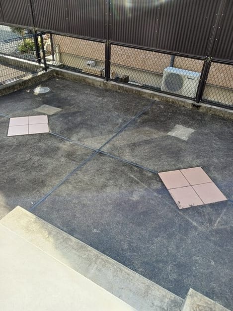 Naikan9 20260115000000