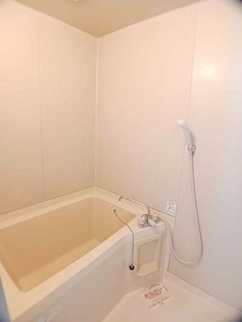 Naikan3 20260303000000 945x630