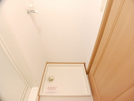 Naikan11 20260303000000