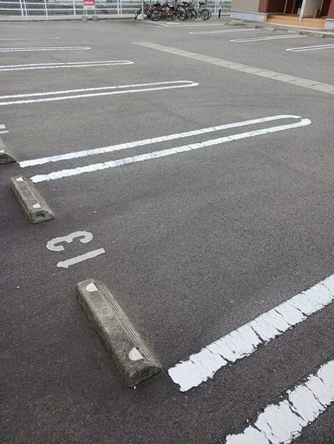 Naikan11 20250422000000 945x630