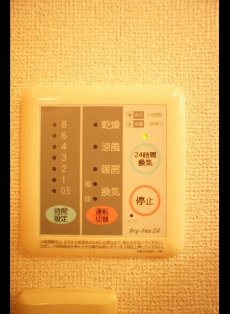 Naikan10 20240209000000