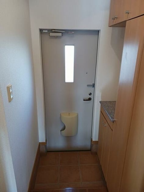 Naikan6 20260128000000 945x630