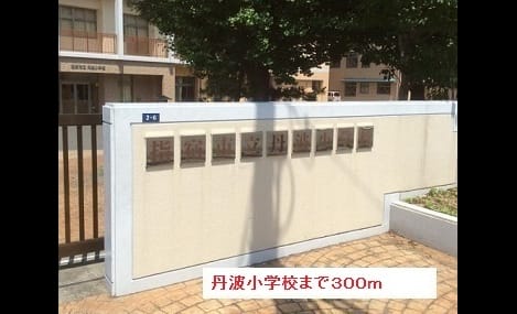 Naikan13 20190208000000