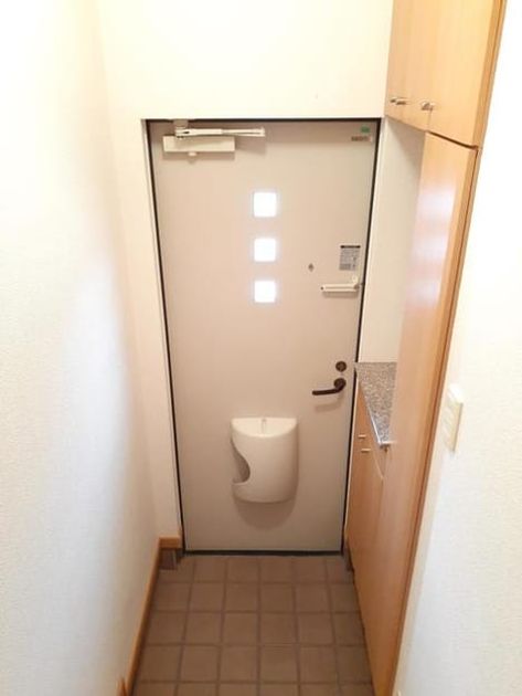 Naikan6 20210511000000 945x630