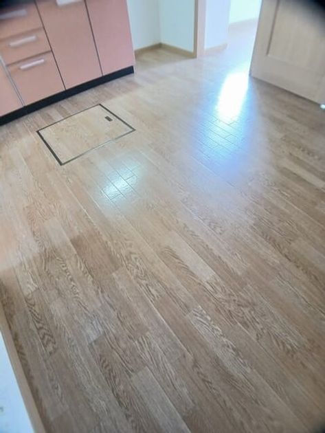 Naikan1 20260527000000 945x630