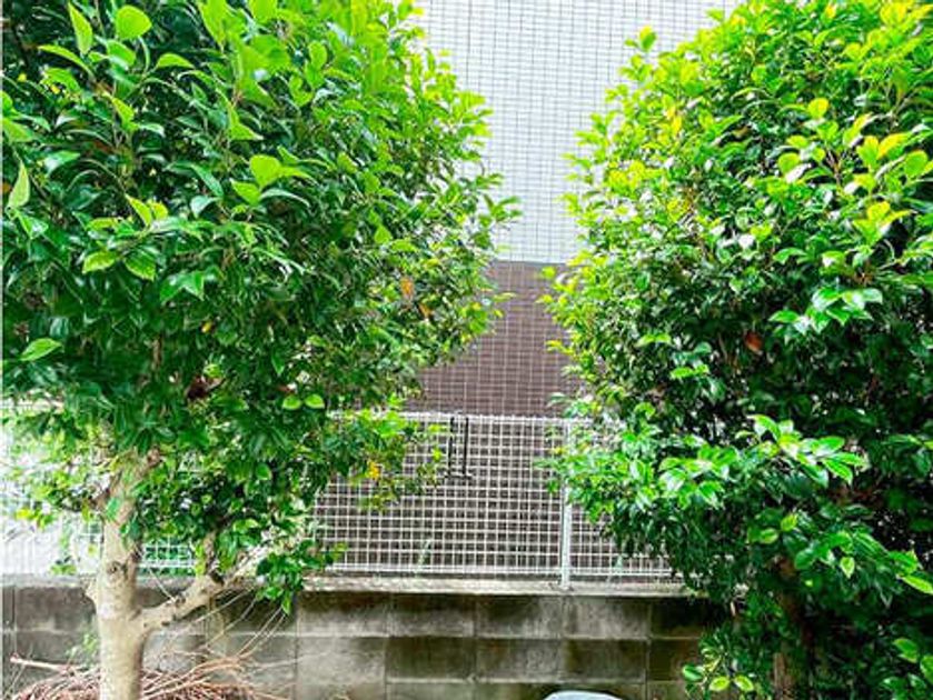 Naikan15 20260531143242 945x630