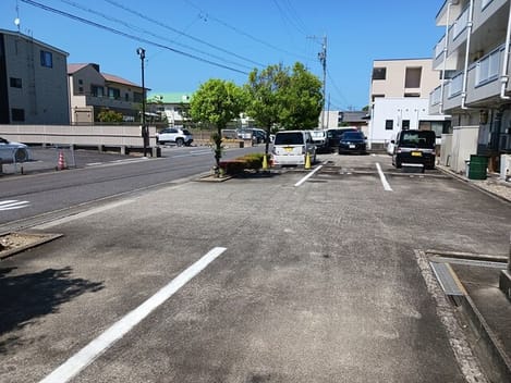 Naikan11 20260529000000