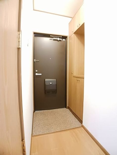 Naikan9 20250124000000 945x630