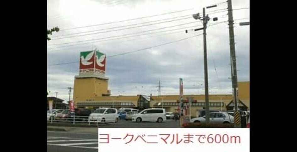 Naikan13 20250210000000 945x630