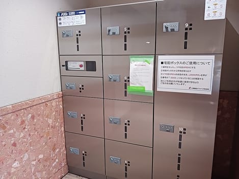 Naikan11 20260728000000