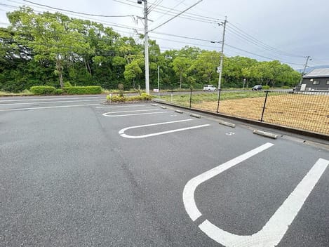 Naikan10 20260522000000