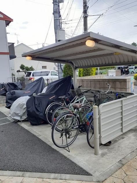 Naikan11 20250418000000 945x630