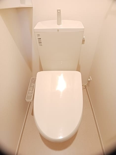 Naikan8 20260619000000