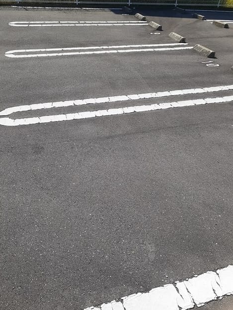 Naikan11 20260608000000
