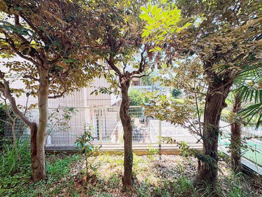Naikan15 20260802164339 945x630