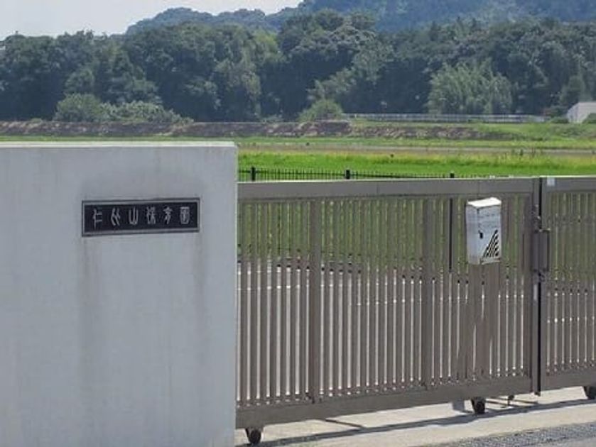 Naikan16 20250324000000 945x630
