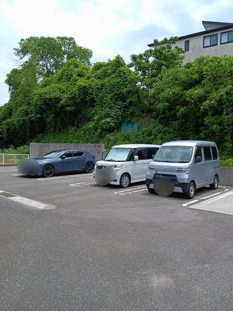 Naikan11 20250606000000