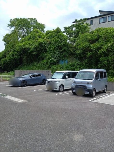 Naikan11 20250606000000 945x630