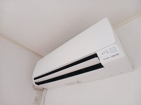 Naikan8 20260804000000