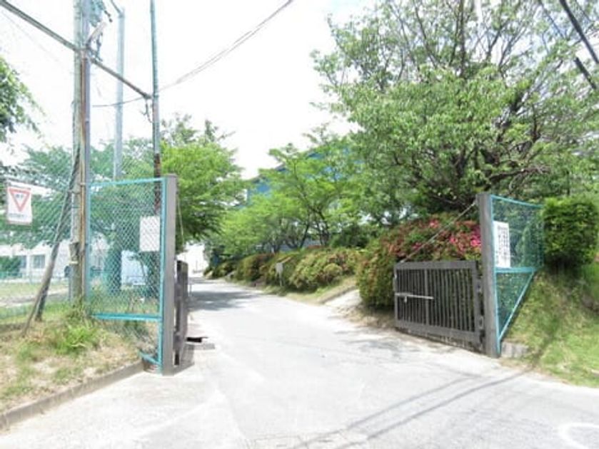 Naikan18 20260402000000 945x630