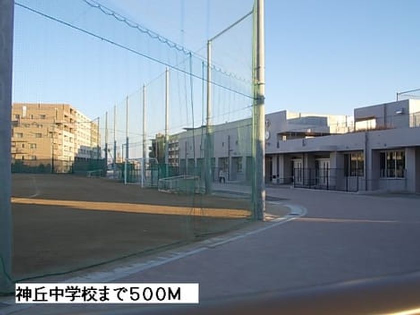 Naikan17 20140201000000 945x630