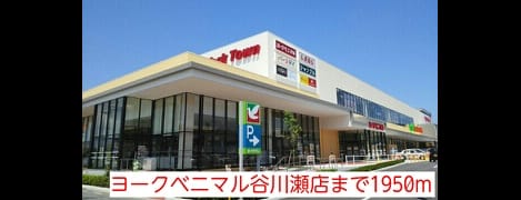 Naikan13 20201023000000