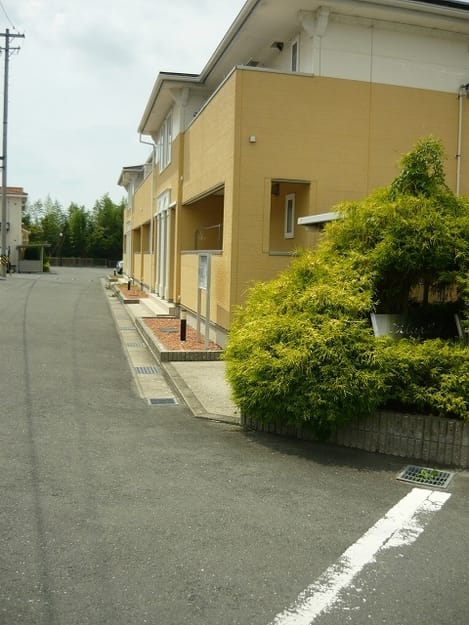 Naikan11 20250314000000