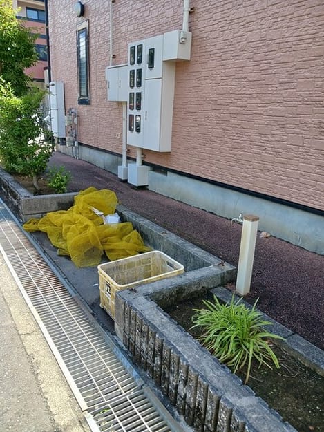 Naikan13 20260603000000