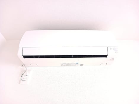 Naikan12 20260819000000