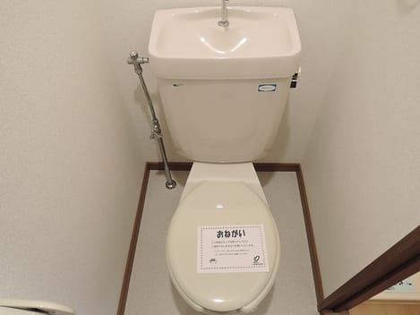 Naikan7 20181122000000
