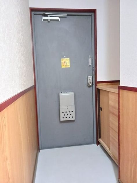 Naikan12 20250430000000 945x630