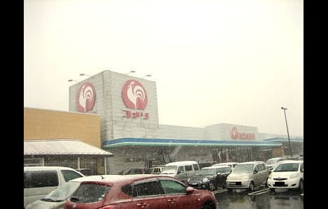 Naikan14 20251114000000