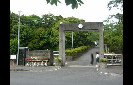 Naikan17 20200527000000