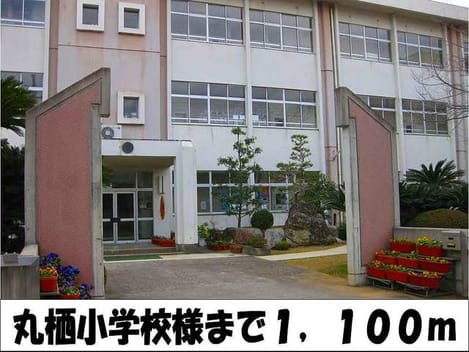 Naikan17 20220902000000