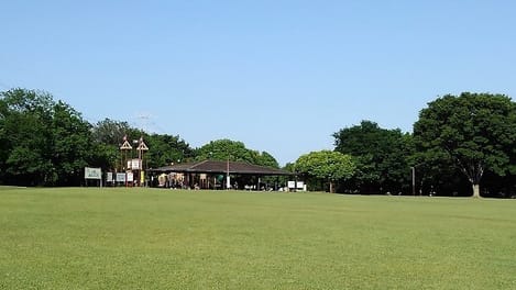 Naikan18 20260108000000