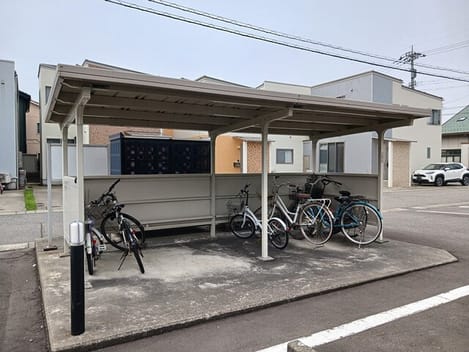 Naikan11 20260729000000