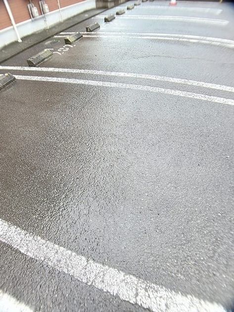 Naikan11 20260915000000 945x630