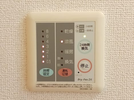 Naikan11 20260825000000