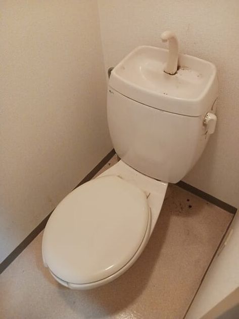 Naikan8 20260908000000 945x630