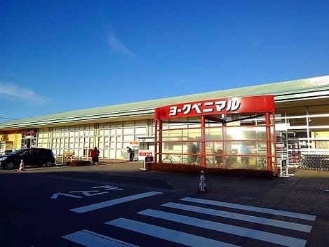 Naikan15 20220106000000